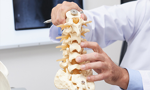  Spine Surgery
